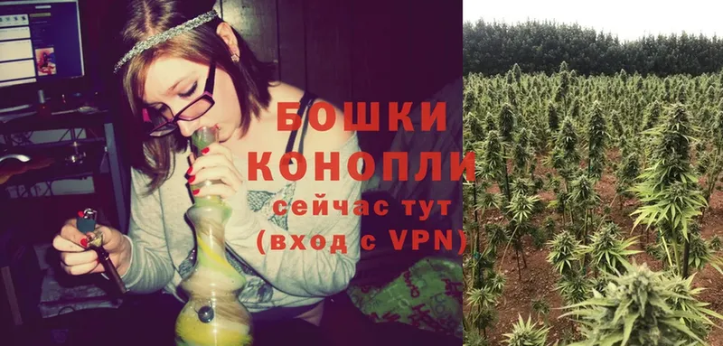 Канабис Ganja  сколько стоит  Олонец 